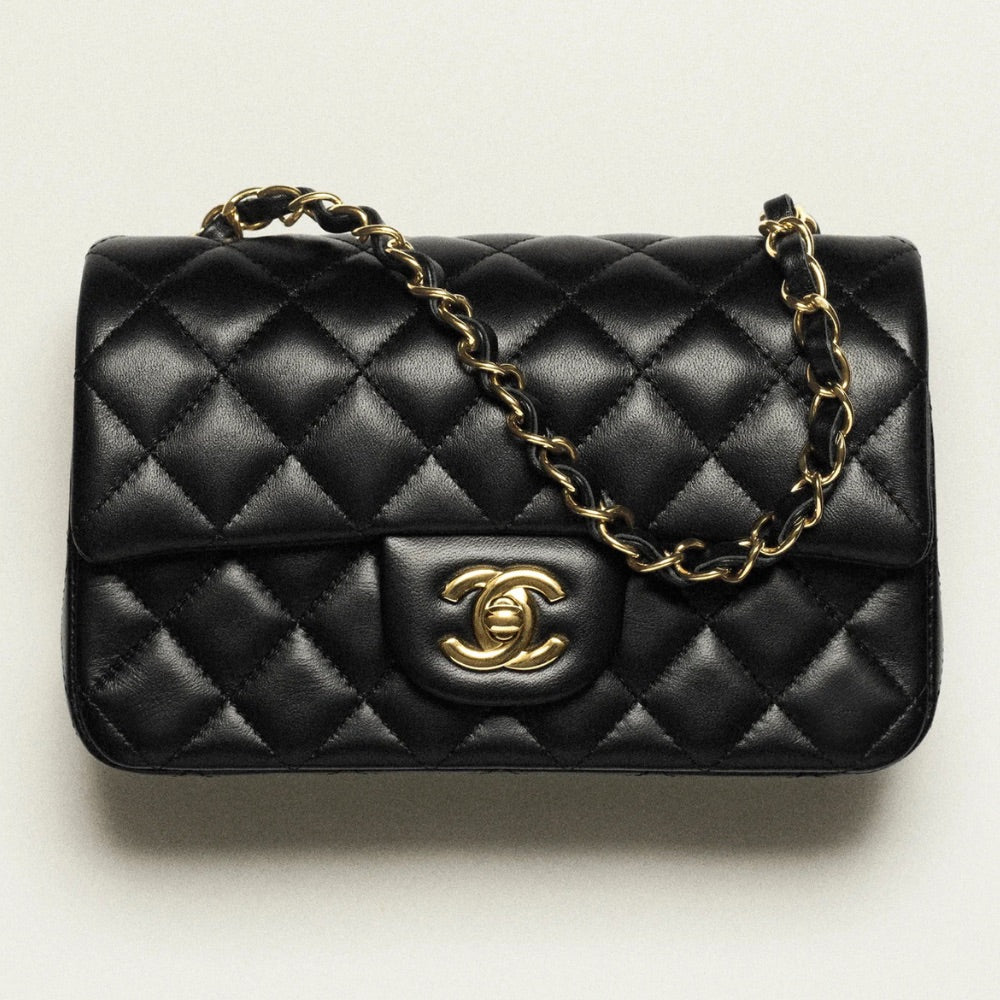 All Chanel Bags